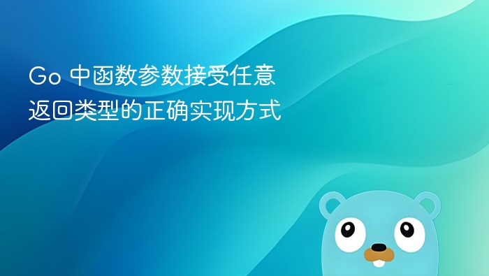 Go 中函数参数接受任意返回类型的正确实现方式