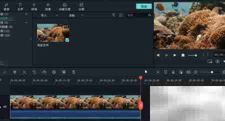 制作黑白电视风格视频特效