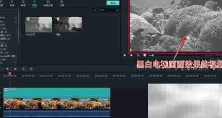 制作黑白电视风格视频特效