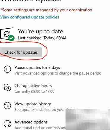 指定Windows更新地址