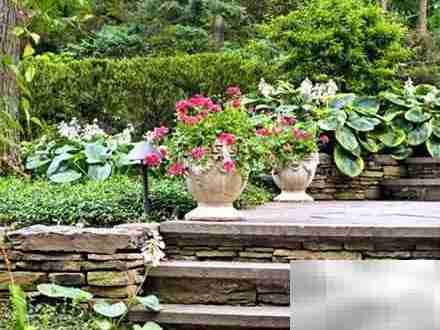 生态园林设计与营造技术