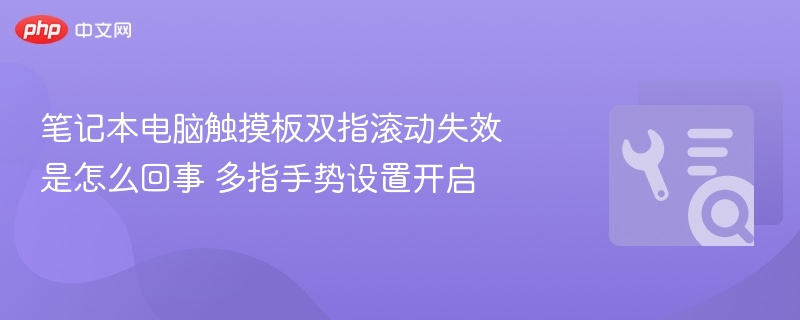 笔记本电脑触摸板双指滚动失效是怎么回事 多指手势设置开启