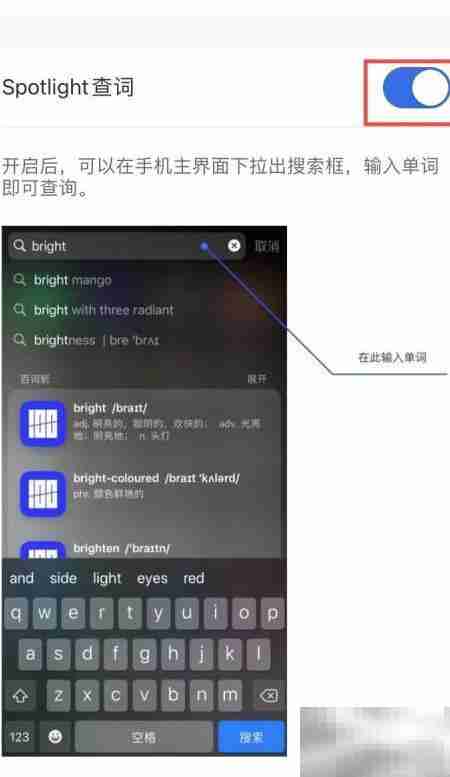 百词斩Spotlight查词设置方法