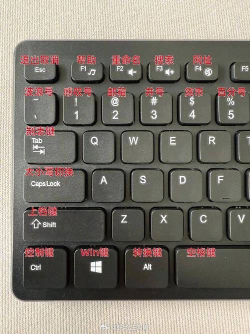 任务管理器的快捷键是什么？电脑卡死必备