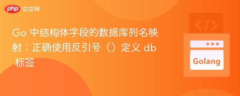 Go 中结构体字段的数据库列名映射：正确使用反引号（）定义 db 标签 