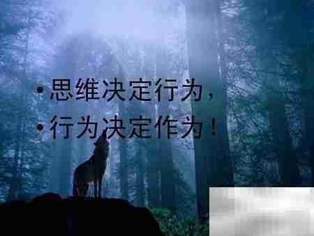 PDCA循环助力高效工作