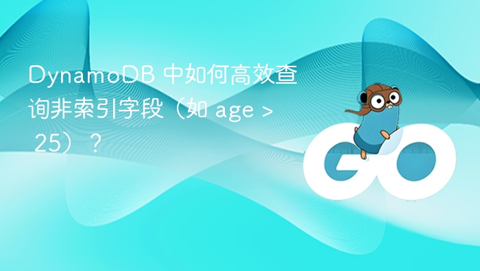 DynamoDB 中如何高效查询非索引字段（如 age > 25）？
