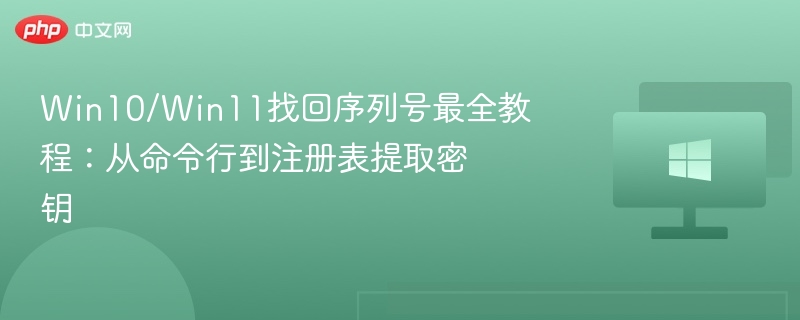 Win10/Win11找回序列号最全教程：从命令行到注册表提取密钥