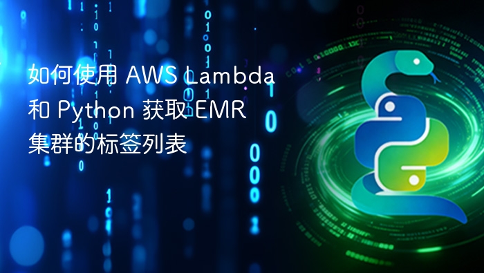 如何使用 AWS Lambda 和 Python 获取 EMR 集群的标签列表
