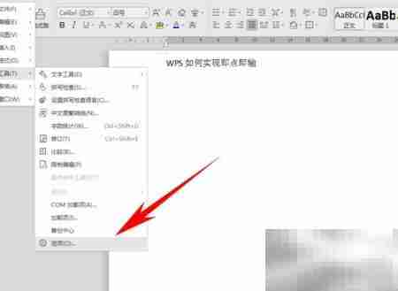 WPS如何实现点击输入？