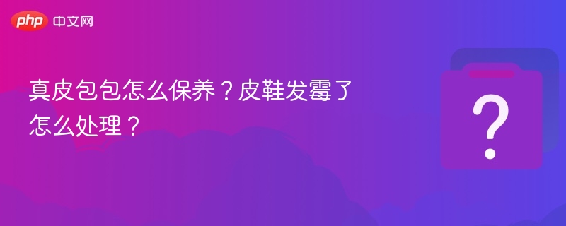 真皮包包怎么保养？皮鞋发霉了怎么处理？