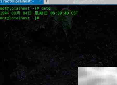 Linux date命令用法详解