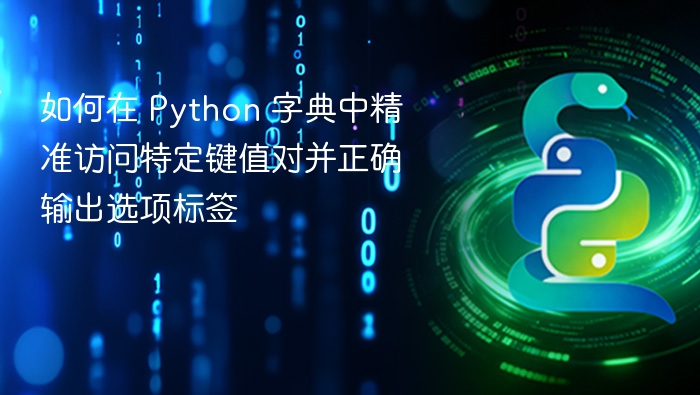 如何在 Python 字典中精准访问特定键值对并正确输出选项标签
