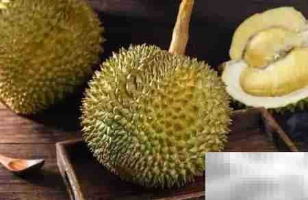 干尧与金枕榴莲有何不同