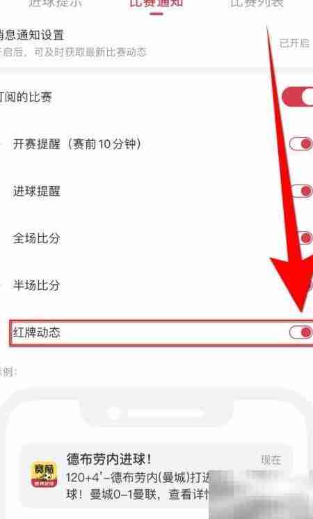 赛酷体育红牌动态停用方法