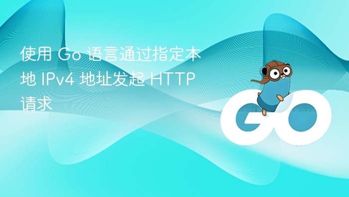使用 Go 语言通过指定本地 IPv4 地址发起 HTTP 请求
