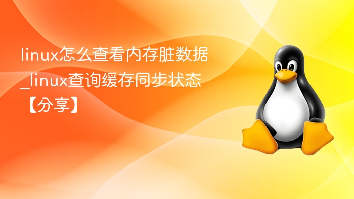 linux怎么查看内存脏数据_linux查询缓存同步状态【分享】