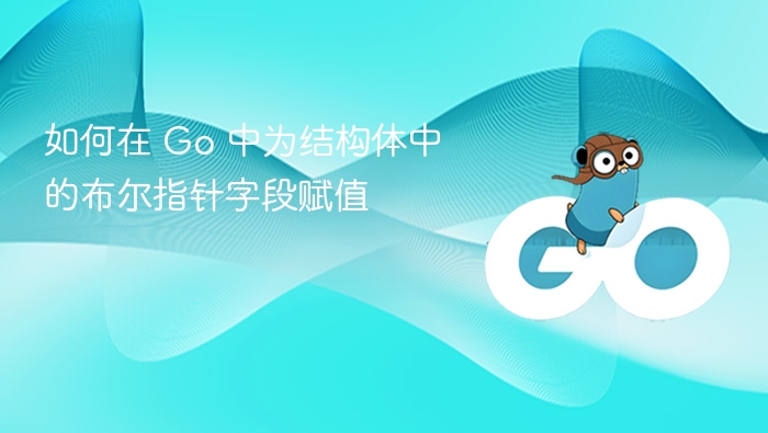 如何在 Go 中为结构体中的布尔指针字段赋值
