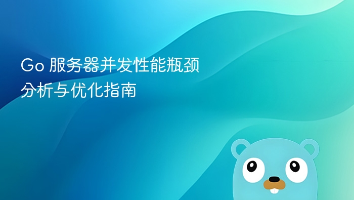 Go 服务器并发性能瓶颈分析与优化指南

