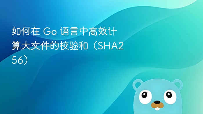 如何在 Go 语言中高效计算大文件的校验和(SHA256)
