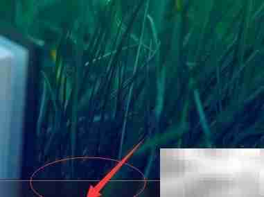 快速启动任务管理器并结束进程