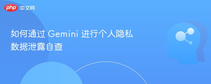 如何通过 Gemini 进行个人隐私数据泄露自查