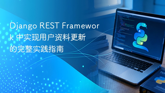 Django REST Framework 中实现用户资料更新的完整实践指南