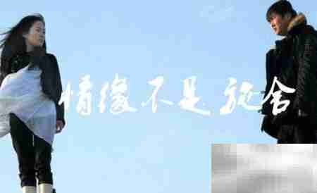 缘来不强求,转身亦从容