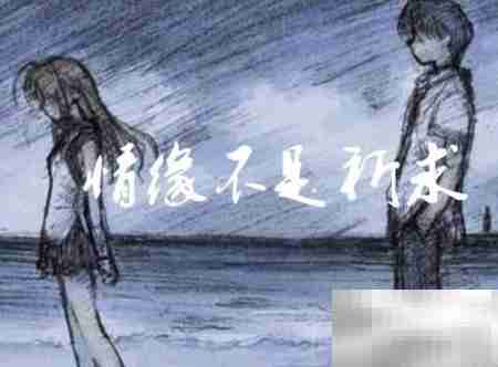 缘来不强求,转身亦从容