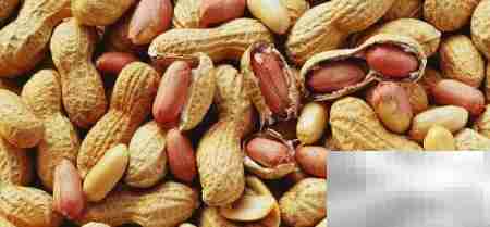 花生牛腱汤的营养与食疗功效