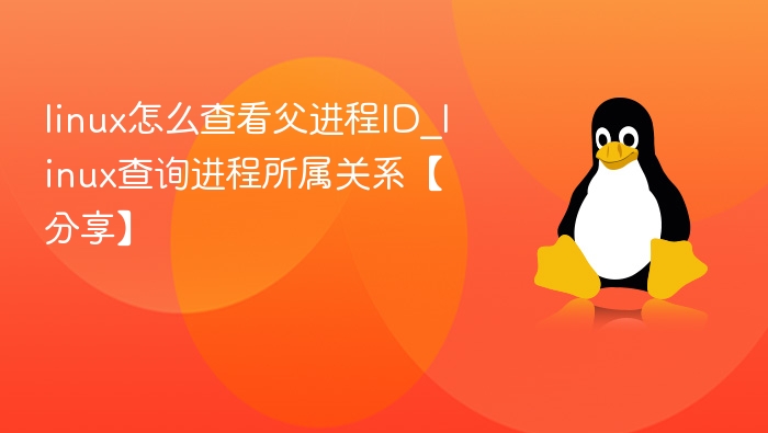 linux怎么查看父进程ID_linux查询进程所属关系【分享】