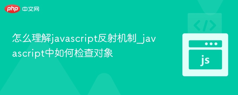 怎么理解javascript反射机制_javascript中如何检查对象