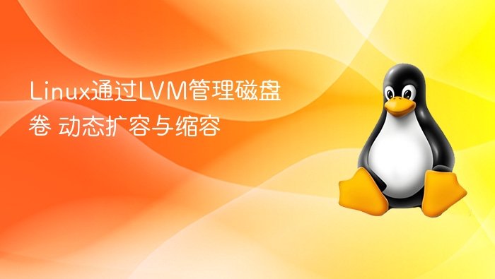 Linux通过LVM管理磁盘卷 动态扩容与缩容