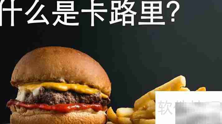 卡路里是什么？一文读懂