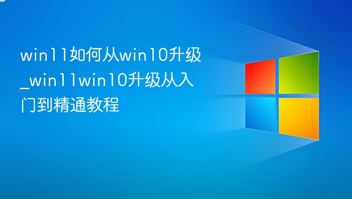 win11如何从win10升级_win11win10升级从入门到精通教程