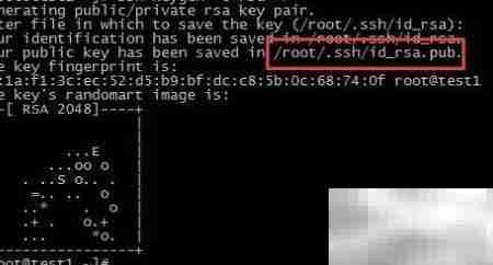 SSH免密登录配置指南