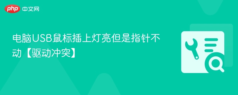 电脑USB鼠标插上灯亮但是指针不动【驱动冲突】