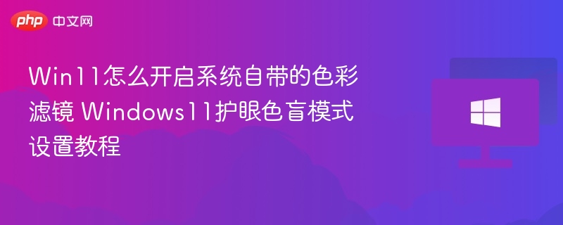 Win11怎么开启系统自带的色彩滤镜 Windows11护眼色盲模式设置教程