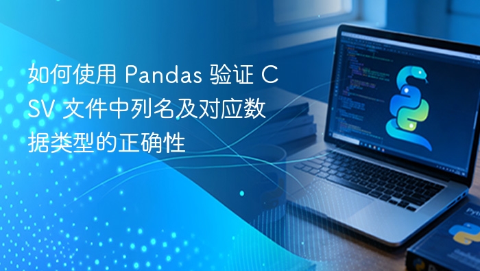 如何使用 Pandas 验证 CSV 文件中列名及对应数据类型的正确性
