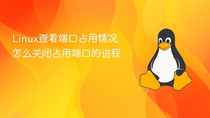 Linux查看端口占用情况 怎么关闭占用端口的进程