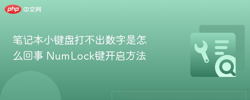 笔记本小键盘打不出数字是怎么回事 NumLock键开启方法