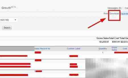 eBay店铺报告下载指南