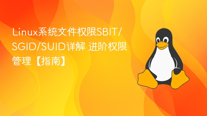 Linux系统文件权限SBIT/SGID/SUID详解 进阶权限管理【指南】