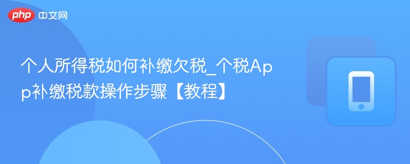 个人所得税如何补缴欠税_个税App补缴税款操作步骤【教程】