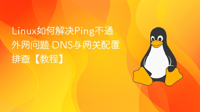 Linux如何解决Ping不通外网问题 DNS与网关配置排查【教程】