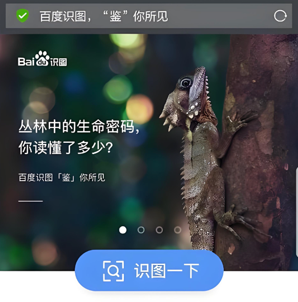 百度识图在线入口地址 百度识图网页版入口链接