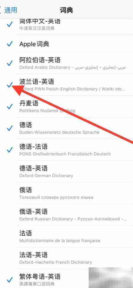 如何移除iPhone波兰语词典