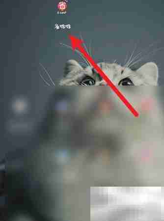 省啦啦本月收益查询指南