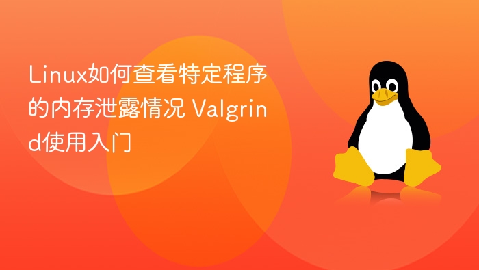 Linux如何查看特定程序的内存泄露情况 Valgrind使用入门