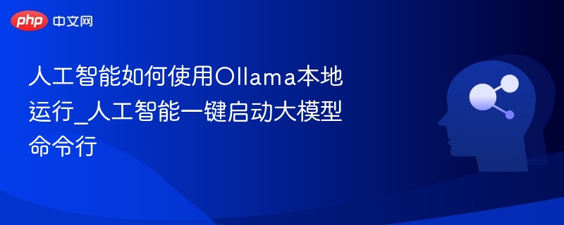 人工智能如何使用Ollama本地运行_人工智能一键启动大模型命令行